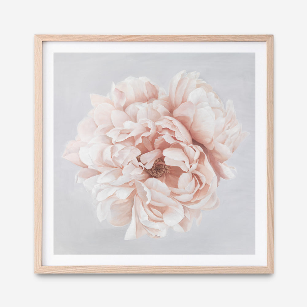 Shop Pastel Peony (Square) Art Print a floral themed painted wall art print from The Print Emporium wall artwork collection - Buy Australian made fine art painting style poster and framed prints for the home and your interior decor room, TPE-400-AP