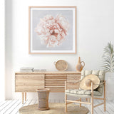 Shop Pastel Peony (Square) Art Print a floral themed painted wall art print from The Print Emporium wall artwork collection - Buy Australian made fine art painting style poster and framed prints for the home and your interior decor room, TPE-400-AP