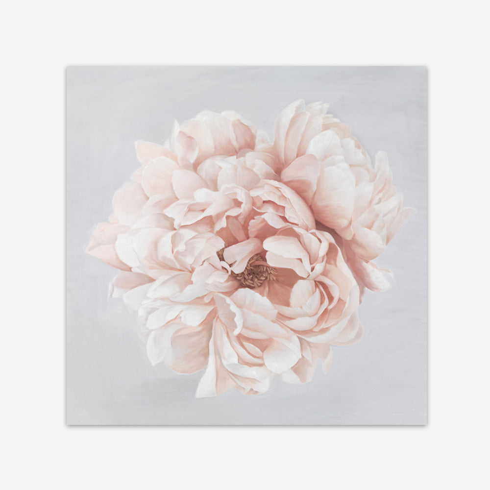 Shop Pastel Peony (Square) Art Print a floral themed painted wall art print from The Print Emporium wall artwork collection - Buy Australian made fine art painting style poster and framed prints for the home and your interior decor room, TPE-400-AP