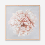 Shop Pastel Peony (Square) Art Print a floral themed painted wall art print from The Print Emporium wall artwork collection - Buy Australian made fine art painting style poster and framed prints for the home and your interior decor room, TPE-400-AP