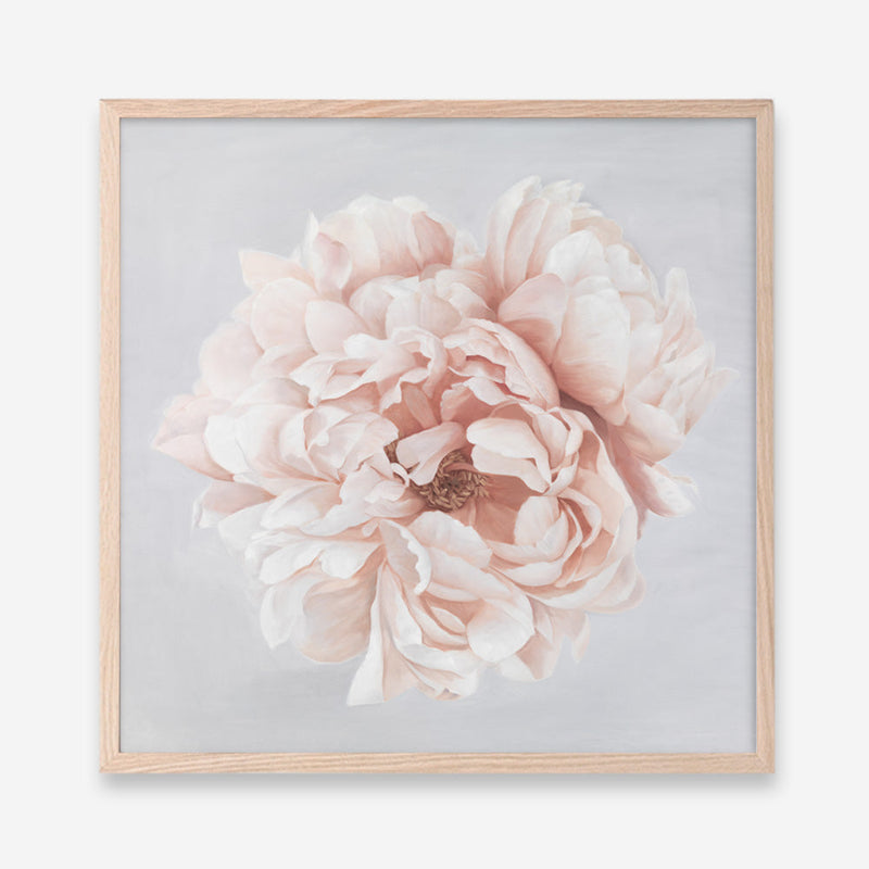 Shop Pastel Peony (Square) Art Print a floral themed painted wall art print from The Print Emporium wall artwork collection - Buy Australian made fine art painting style poster and framed prints for the home and your interior decor room, TPE-400-AP