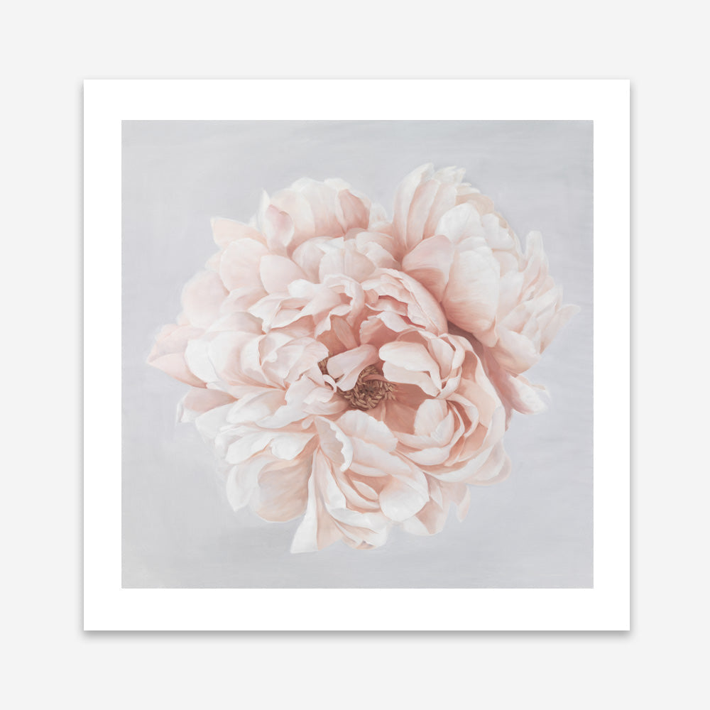 Shop Pastel Peony (Square) Art Print a floral themed painted wall art print from The Print Emporium wall artwork collection - Buy Australian made fine art painting style poster and framed prints for the home and your interior decor room, TPE-400-AP