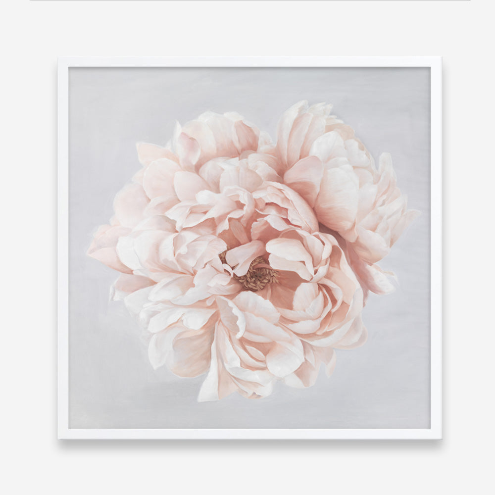 Shop Pastel Peony (Square) Art Print a floral themed painted wall art print from The Print Emporium wall artwork collection - Buy Australian made fine art painting style poster and framed prints for the home and your interior decor room, TPE-400-AP
