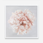 Shop Pastel Peony (Square) Art Print a floral themed painted wall art print from The Print Emporium wall artwork collection - Buy Australian made fine art painting style poster and framed prints for the home and your interior decor room, TPE-400-AP