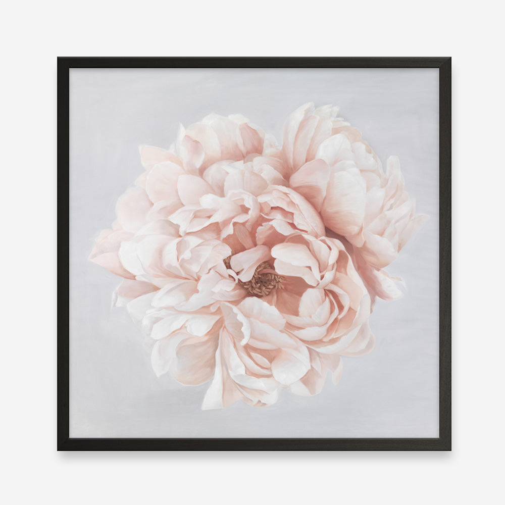 Shop Pastel Peony (Square) Art Print a floral themed painted wall art print from The Print Emporium wall artwork collection - Buy Australian made fine art painting style poster and framed prints for the home and your interior decor room, TPE-400-AP