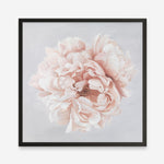 Shop Pastel Peony (Square) Art Print a floral themed painted wall art print from The Print Emporium wall artwork collection - Buy Australian made fine art painting style poster and framed prints for the home and your interior decor room, TPE-400-AP