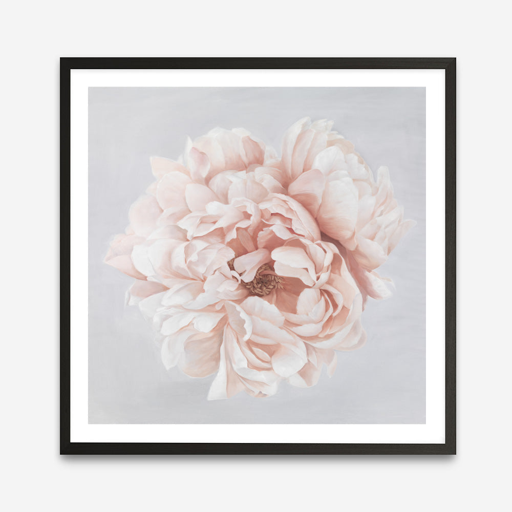 Shop Pastel Peony (Square) Art Print a floral themed painted wall art print from The Print Emporium wall artwork collection - Buy Australian made fine art painting style poster and framed prints for the home and your interior decor room, TPE-400-AP