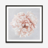 Shop Pastel Peony (Square) Art Print a floral themed painted wall art print from The Print Emporium wall artwork collection - Buy Australian made fine art painting style poster and framed prints for the home and your interior decor room, TPE-400-AP