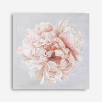 Shop Pastel Peony (Square) Canvas Print a floral themed painted framed canvas wall art print from The Print Emporium artwork collection - Buy Australian made fine art painting style stretched canvas prints for the home and your interior decor space, TPE-400-CA-40X40-NF