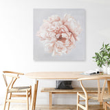 Shop Pastel Peony (Square) Canvas Print a floral themed painted framed canvas wall art print from The Print Emporium artwork collection - Buy Australian made fine art painting style stretched canvas prints for the home and your interior decor space, TPE-400-CA-40X40-NF