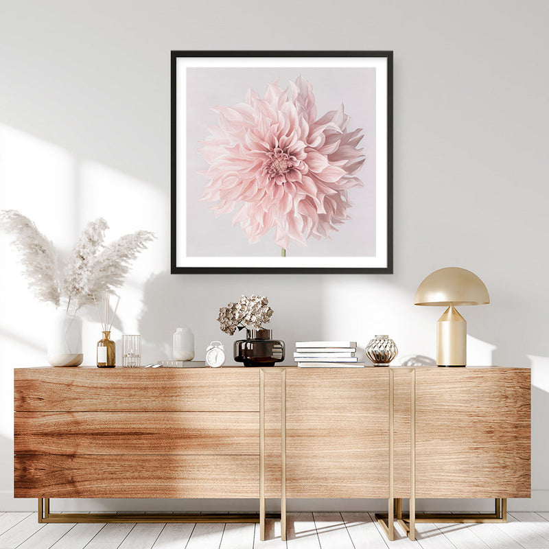 Shop Pastel Pink Dahlia Flower (Square) Art Print a floral themed painted wall art print from The Print Emporium wall artwork collection - Buy Australian made fine art painting style poster and framed prints for the home and your interior decor room, TPE-433-AP