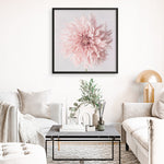 Shop Pastel Pink Dahlia Flower (Square) Art Print a floral themed painted wall art print from The Print Emporium wall artwork collection - Buy Australian made fine art painting style poster and framed prints for the home and your interior decor room, TPE-433-AP