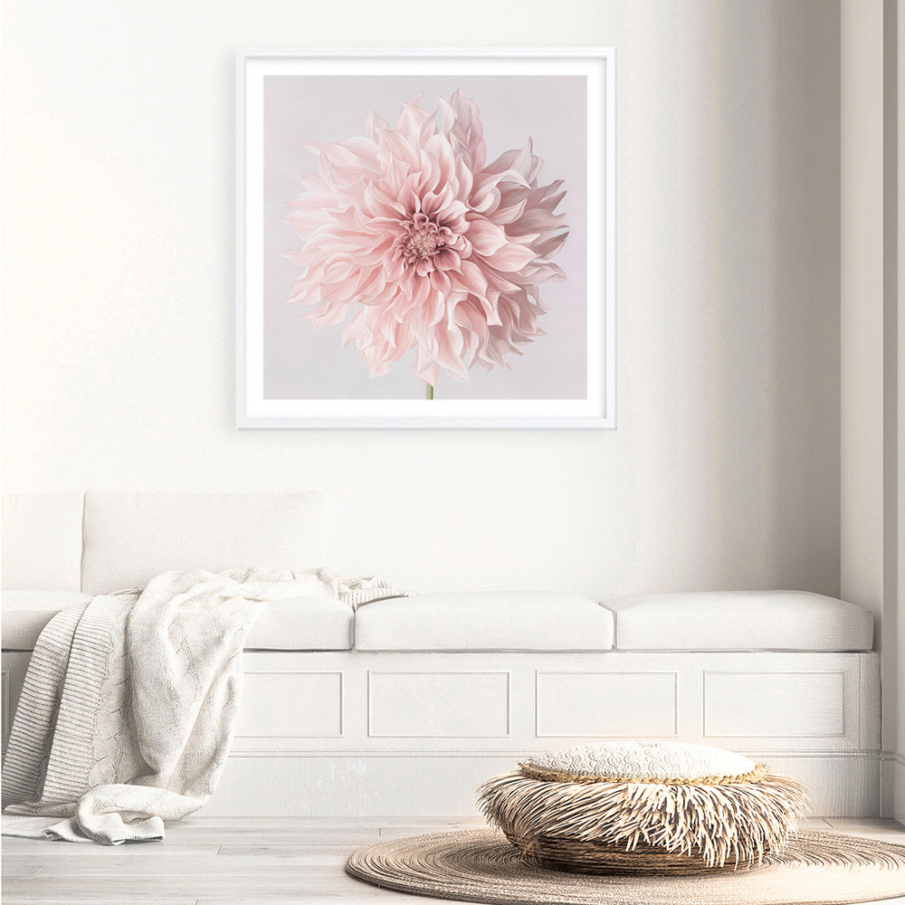 Shop Pastel Pink Dahlia Flower (Square) Art Print a floral themed painted wall art print from The Print Emporium wall artwork collection - Buy Australian made fine art painting style poster and framed prints for the home and your interior decor room, TPE-433-AP