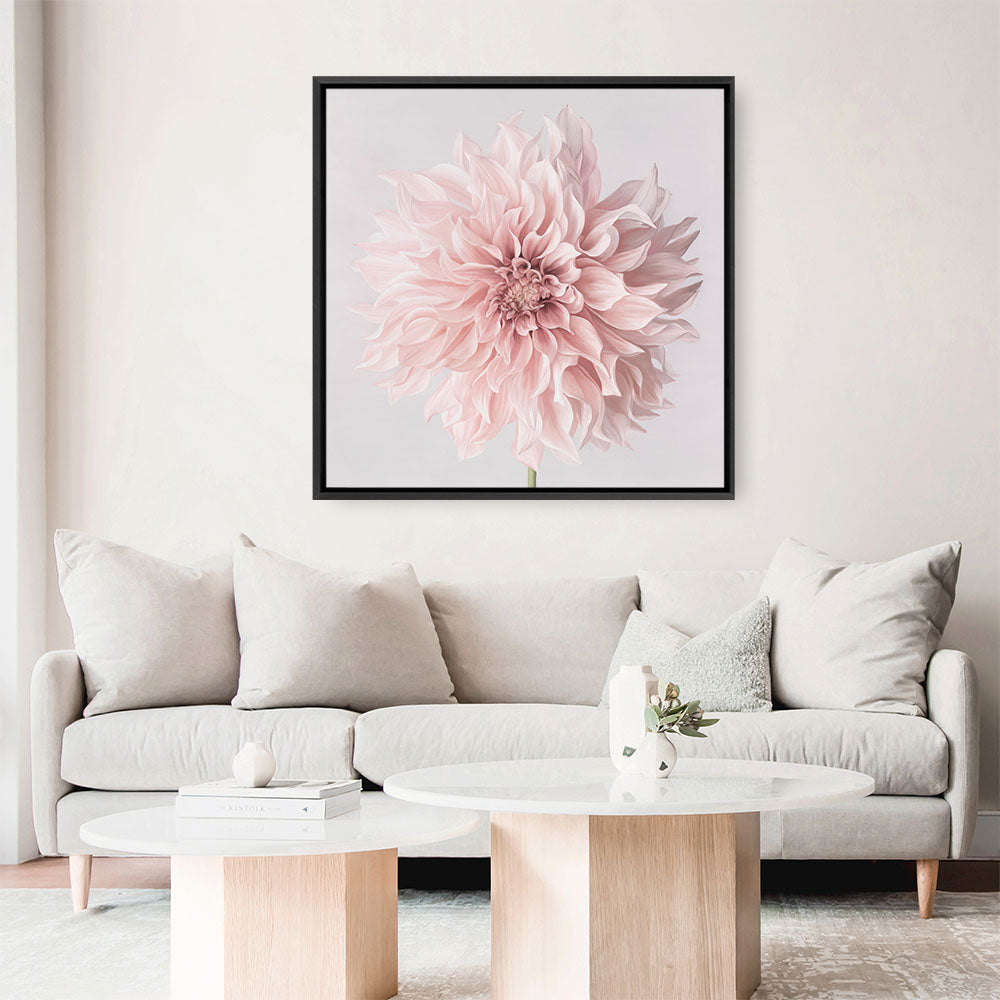 Shop Pastel Pink Dahlia Flower (Square) Canvas Print a floral themed painted framed canvas wall art print from The Print Emporium artwork collection - Buy Australian made fine art painting style stretched canvas prints for the home and your interior decor space, TPE-433-CA-40X40-NF