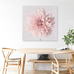 Shop Pastel Pink Dahlia Flower (Square) Canvas Print a floral themed painted framed canvas wall art print from The Print Emporium artwork collection - Buy Australian made fine art painting style stretched canvas prints for the home and your interior decor space, TPE-433-CA-40X40-NF