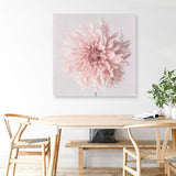 Shop Pastel Pink Dahlia Flower (Square) Canvas Print a floral themed painted framed canvas wall art print from The Print Emporium artwork collection - Buy Australian made fine art painting style stretched canvas prints for the home and your interior decor space, TPE-433-CA-40X40-NF