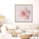 Shop Pastel Pink Dahlia Flower (Square) Canvas Print a floral themed painted framed canvas wall art print from The Print Emporium artwork collection - Buy Australian made fine art painting style stretched canvas prints for the home and your interior decor space, TPE-433-CA-40X40-NF