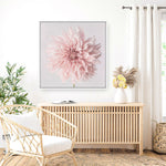 Shop Pastel Pink Dahlia Flower (Square) Canvas Print a floral themed painted framed canvas wall art print from The Print Emporium artwork collection - Buy Australian made fine art painting style stretched canvas prints for the home and your interior decor space, TPE-433-CA-40X40-NF