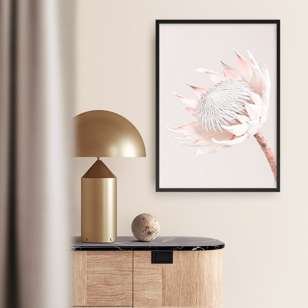 Shop Pastel Protea I Photo Art Print a floral themed photography wall art print from The Print Emporium wall artwork collection - Buy Australian made fine art poster and framed prints for the home and your interior decor room, TPE-598-AP