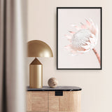 Shop Pastel Protea I Photo Art Print a floral themed photography wall art print from The Print Emporium wall artwork collection - Buy Australian made fine art poster and framed prints for the home and your interior decor room, TPE-598-AP