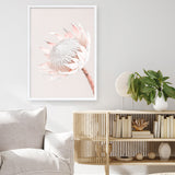 Shop Pastel Protea I Photo Art Print a floral themed photography wall art print from The Print Emporium wall artwork collection - Buy Australian made fine art poster and framed prints for the home and your interior decor room, TPE-598-AP
