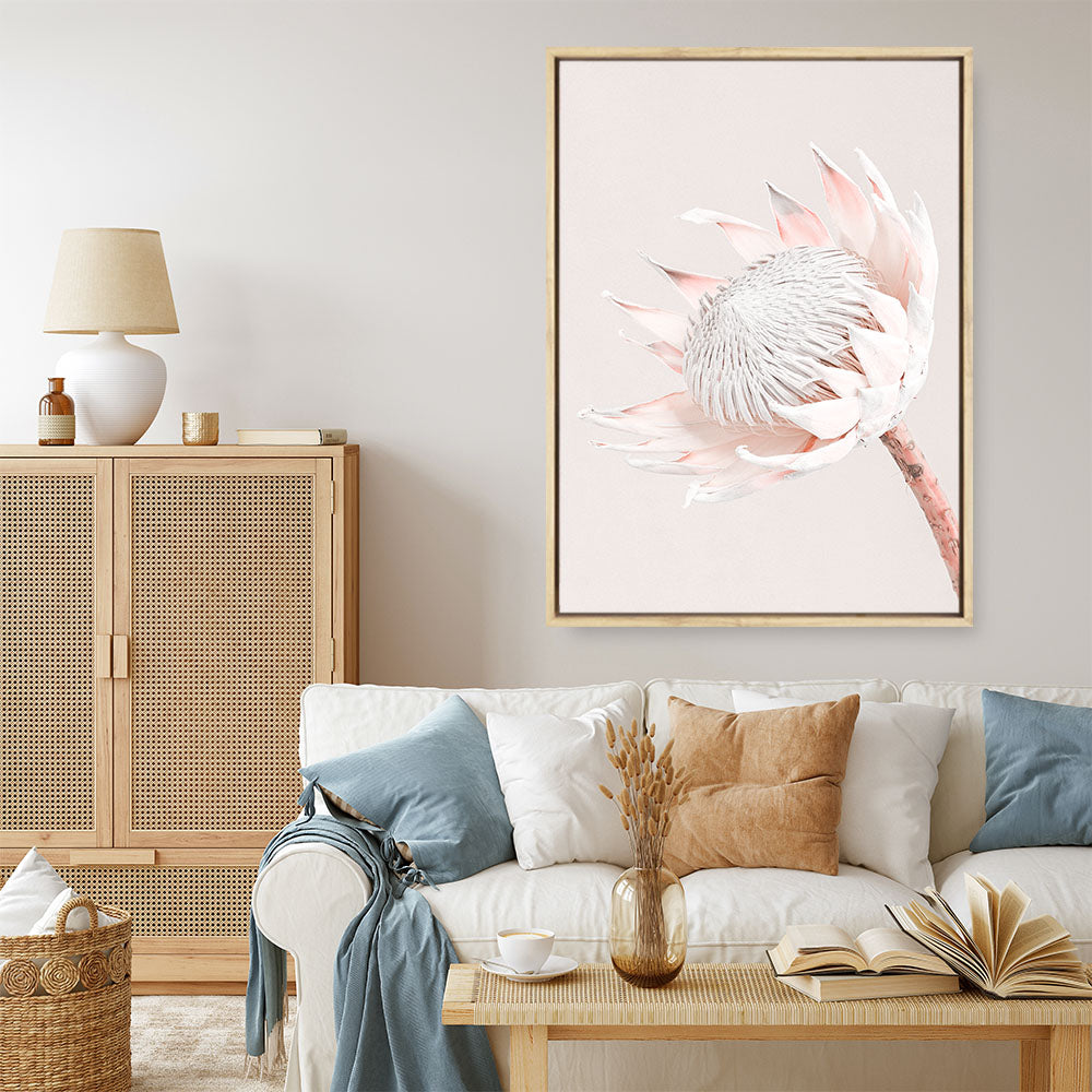 Shop Pastel Protea I Photo Canvas Print a floral themed photography framed stretched canvas print from The Print Emporium wall artwork collection - Buy Australian made prints for the home and your interior decor space, TPE-598-CA-35X46-NF