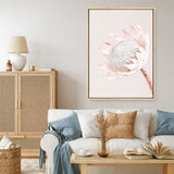 Shop Pastel Protea I Photo Canvas Print a floral themed photography framed stretched canvas print from The Print Emporium wall artwork collection - Buy Australian made prints for the home and your interior decor space, TPE-598-CA-35X46-NF