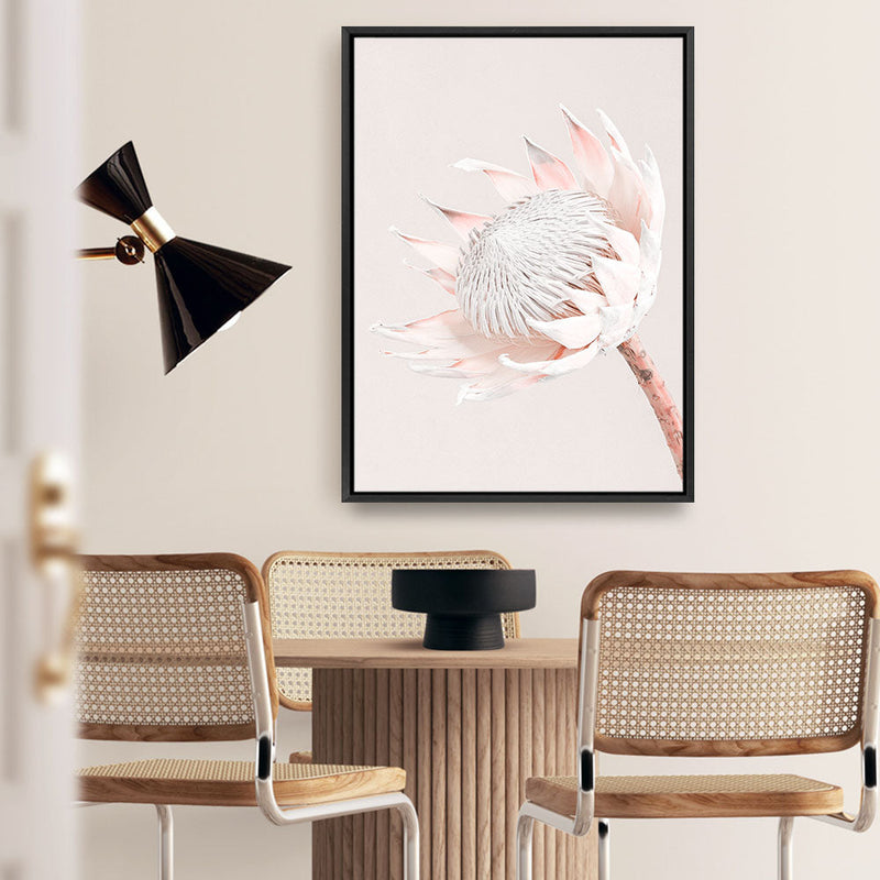 Shop Pastel Protea I Photo Canvas Print a floral themed photography framed stretched canvas print from The Print Emporium wall artwork collection - Buy Australian made prints for the home and your interior decor space, TPE-598-CA-35X46-NF