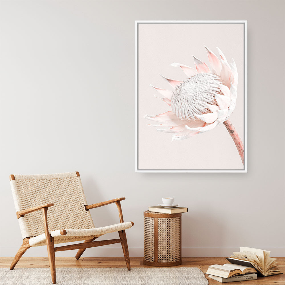 Shop Pastel Protea I Photo Canvas Print a floral themed photography framed stretched canvas print from The Print Emporium wall artwork collection - Buy Australian made prints for the home and your interior decor space, TPE-598-CA-35X46-NF