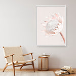 Shop Pastel Protea I Photo Canvas Print a floral themed photography framed stretched canvas print from The Print Emporium wall artwork collection - Buy Australian made prints for the home and your interior decor space, TPE-598-CA-35X46-NF