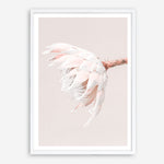 Shop Pastel Protea II Photo Art Print a floral themed photography wall art print from The Print Emporium wall artwork collection - Buy Australian made fine art poster and framed prints for the home and your interior decor room, TPE-599-AP