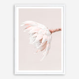 Shop Pastel Protea II Photo Art Print a floral themed photography wall art print from The Print Emporium wall artwork collection - Buy Australian made fine art poster and framed prints for the home and your interior decor room, TPE-599-AP