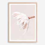 Shop Pastel Protea II Photo Art Print a floral themed photography wall art print from The Print Emporium wall artwork collection - Buy Australian made fine art poster and framed prints for the home and your interior decor room, TPE-599-AP