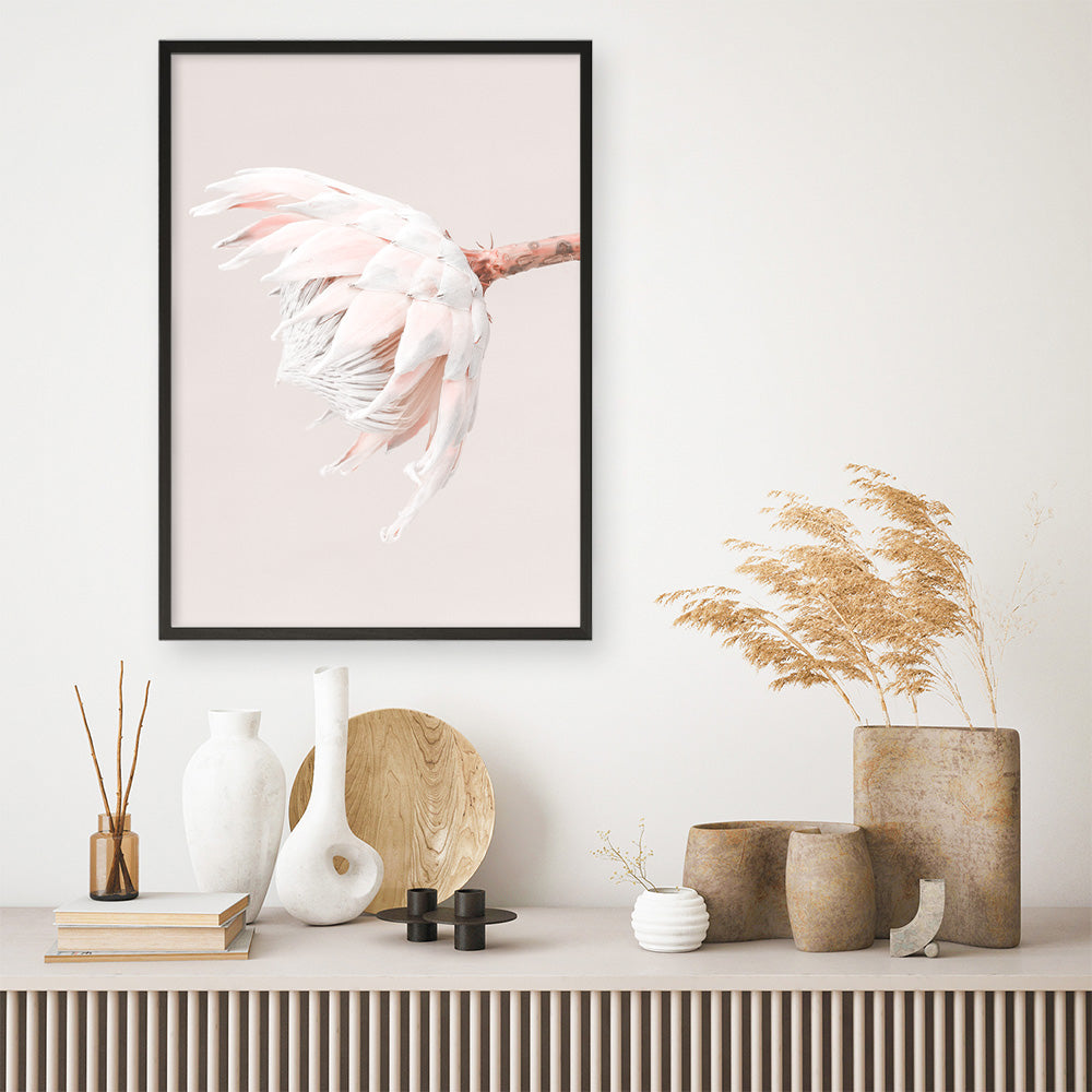 Shop Pastel Protea II Photo Art Print a floral themed photography wall art print from The Print Emporium wall artwork collection - Buy Australian made fine art poster and framed prints for the home and your interior decor room, TPE-599-AP