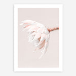 Shop Pastel Protea II Photo Art Print a floral themed photography wall art print from The Print Emporium wall artwork collection - Buy Australian made fine art poster and framed prints for the home and your interior decor room, TPE-599-AP