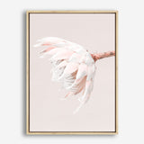 Shop Pastel Protea II Photo Canvas Print a floral themed photography framed stretched canvas print from The Print Emporium wall artwork collection - Buy Australian made prints for the home and your interior decor space, TPE-599-CA-35X46-NF
