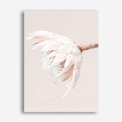 Shop Pastel Protea II Photo Canvas Print a floral themed photography framed stretched canvas print from The Print Emporium wall artwork collection - Buy Australian made prints for the home and your interior decor space, TPE-599-CA-35X46-NF