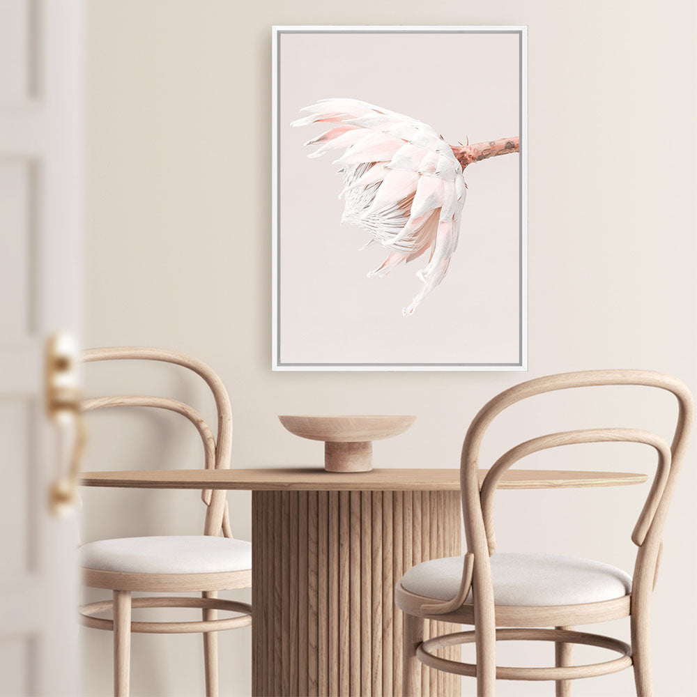 Shop Pastel Protea II Photo Canvas Print a floral themed photography framed stretched canvas print from The Print Emporium wall artwork collection - Buy Australian made prints for the home and your interior decor space, TPE-599-CA-35X46-NF