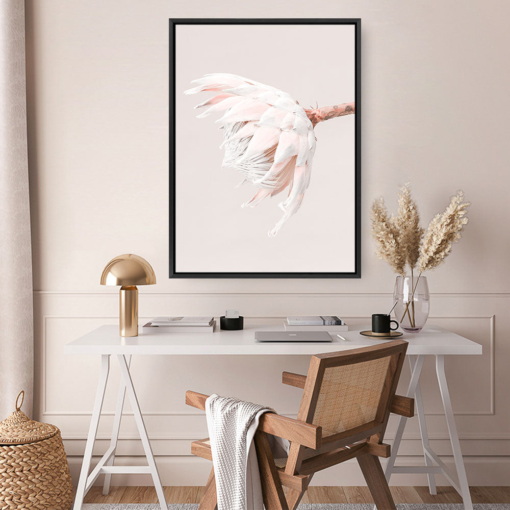 Shop Pastel Protea II Photo Canvas Print a floral themed photography framed stretched canvas print from The Print Emporium wall artwork collection - Buy Australian made prints for the home and your interior decor space, TPE-599-CA-35X46-NF