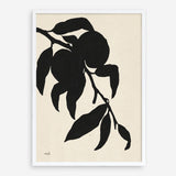 Shop Peach I Art Print a floral themed painted wall art print from The Print Emporium wall artwork collection - Buy Australian made fine art painting style poster and framed prints for the home and your interior decor room, TPE-WA-76172-AP