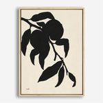 Shop Peach I Canvas Print a floral themed painted framed canvas wall art print from The Print Emporium artwork collection - Buy Australian made fine art painting style stretched canvas prints for the home and your interior decor space, TPE-WA-76172-CA-35X46-NF