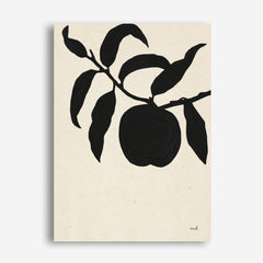 Shop Peach II Canvas Print a floral themed painted framed canvas wall art print from The Print Emporium artwork collection - Buy Australian made fine art painting style stretched canvas prints for the home and your interior decor space, TPE-WA-76173-CA-35X46-NF