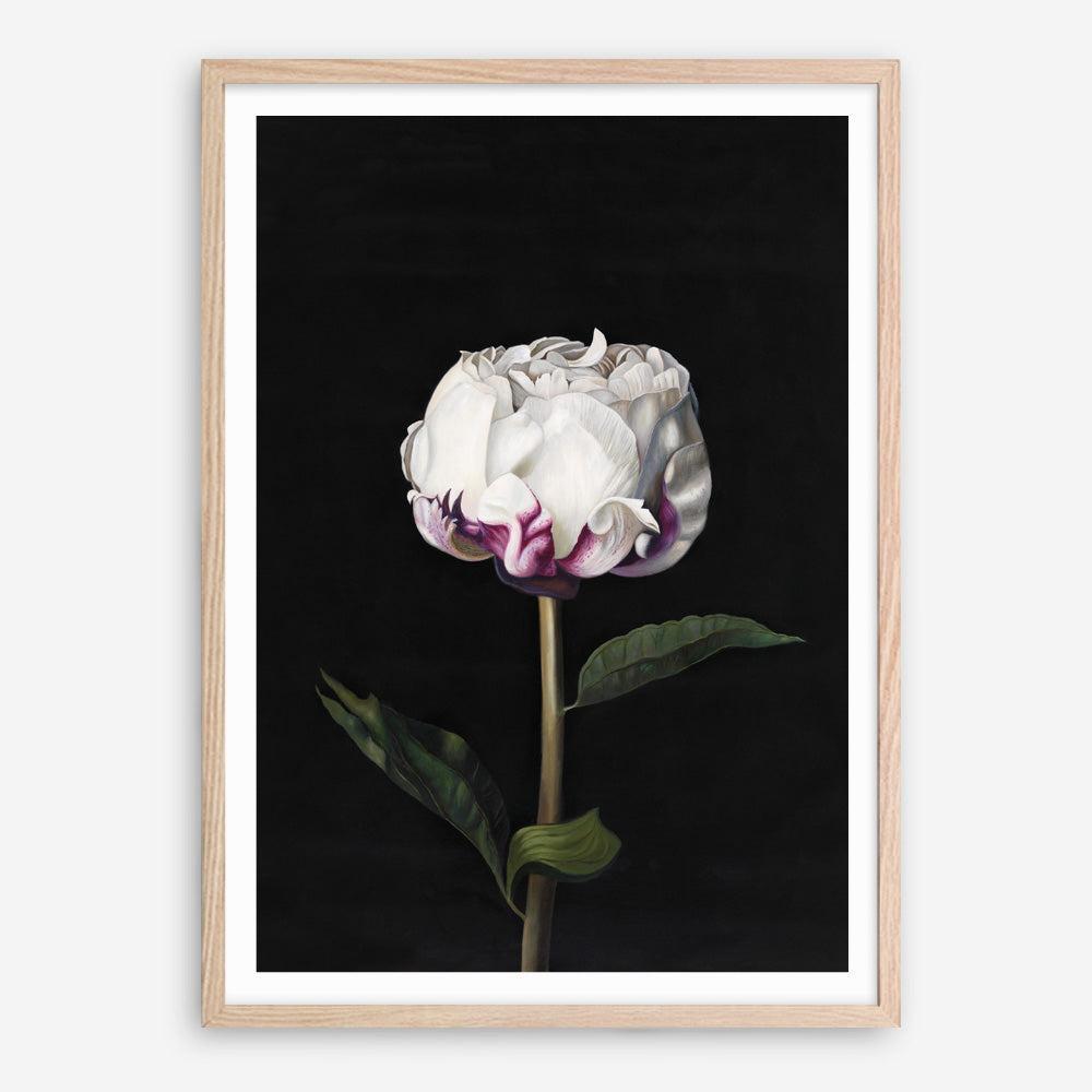 Shop Peony Art Print a floral themed painted wall art print from The Print Emporium wall artwork collection - Buy Australian made fine art painting style poster and framed prints for the home and your interior decor room, TPE-024-AP