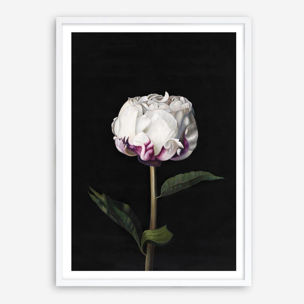 Shop Peony Art Print a floral themed painted wall art print from The Print Emporium wall artwork collection - Buy Australian made fine art painting style poster and framed prints for the home and your interior decor room, TPE-024-AP