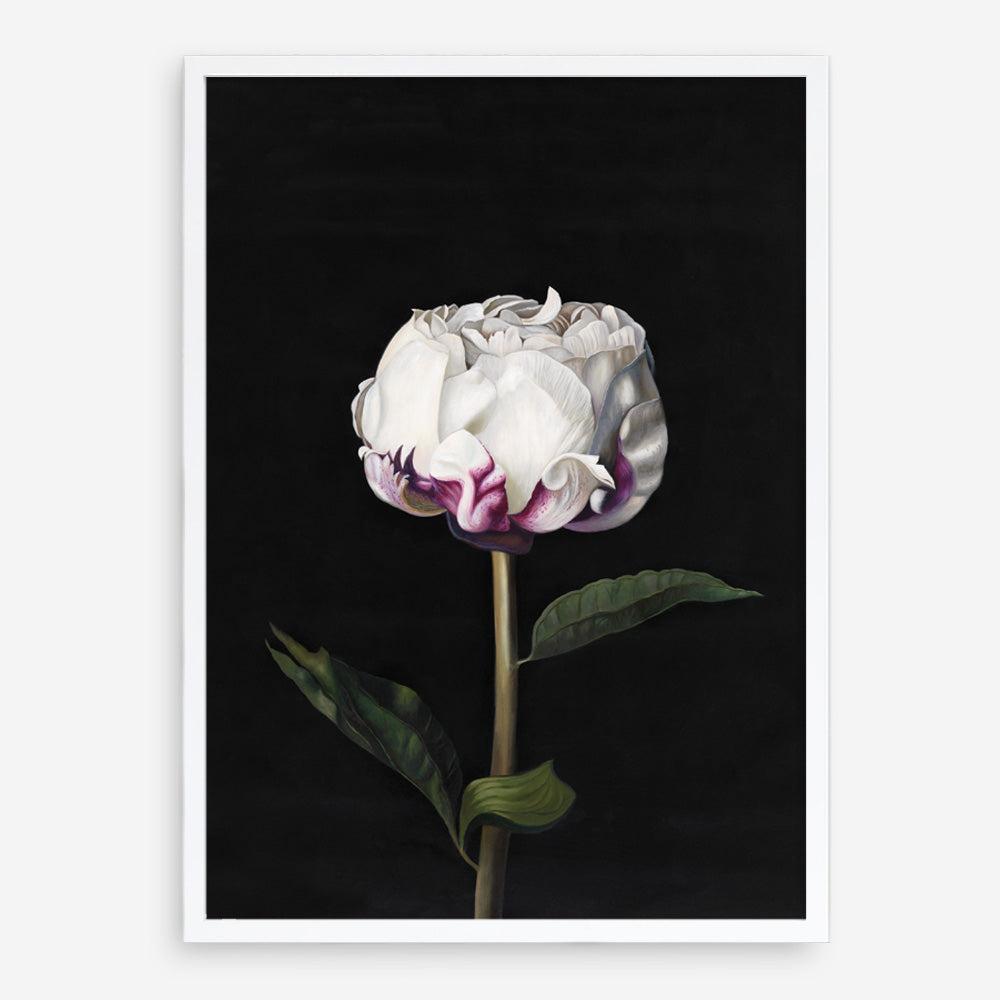 Shop Peony Art Print a floral themed painted wall art print from The Print Emporium wall artwork collection - Buy Australian made fine art painting style poster and framed prints for the home and your interior decor room, TPE-024-AP