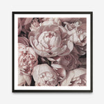 Shop Peony Buds (Square) Art Print a floral themed painted wall art print from The Print Emporium wall artwork collection - Buy Australian made fine art painting style poster and framed prints for the home and your interior decor room, TPE-383-AP