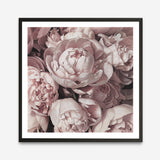 Shop Peony Buds (Square) Art Print a floral themed painted wall art print from The Print Emporium wall artwork collection - Buy Australian made fine art painting style poster and framed prints for the home and your interior decor room, TPE-383-AP