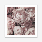 Shop Peony Buds (Square) Art Print a floral themed painted wall art print from The Print Emporium wall artwork collection - Buy Australian made fine art painting style poster and framed prints for the home and your interior decor room, TPE-383-AP