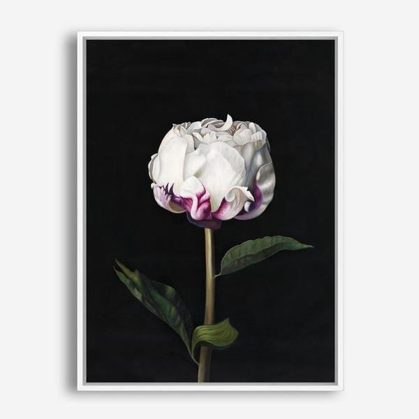 Shop Peony Canvas Print a floral themed painted framed canvas wall art print from The Print Emporium artwork collection - Buy Australian made fine art painting style stretched canvas prints for the home and your interior decor space, TPE-024-CA-35X46-NF
