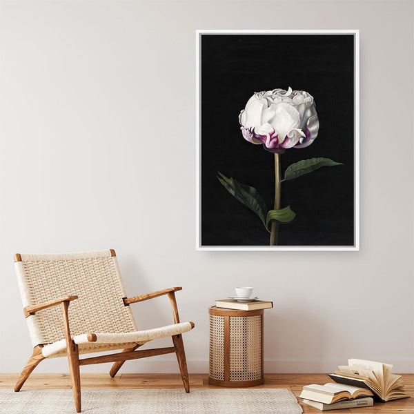 Shop Peony Canvas Print a floral themed painted framed canvas wall art print from The Print Emporium artwork collection - Buy Australian made fine art painting style stretched canvas prints for the home and your interior decor space, TPE-024-CA-35X46-NF